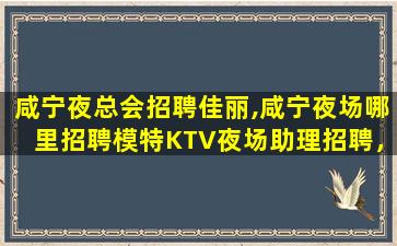宜宾酒吧招聘